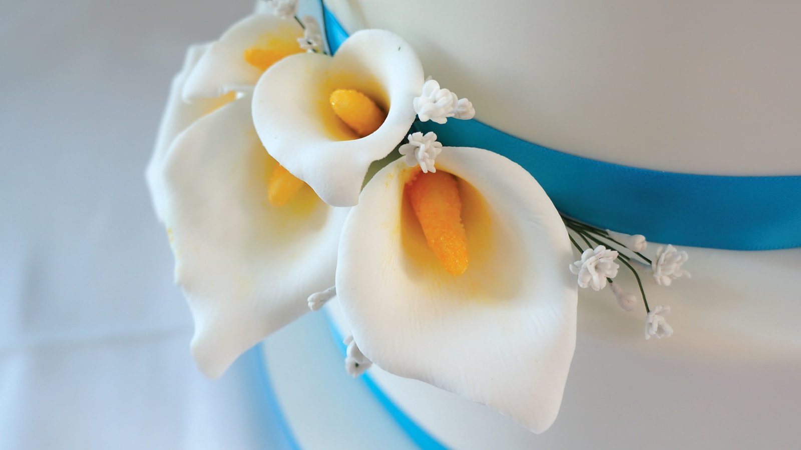 Calla Lily Video Tutorial