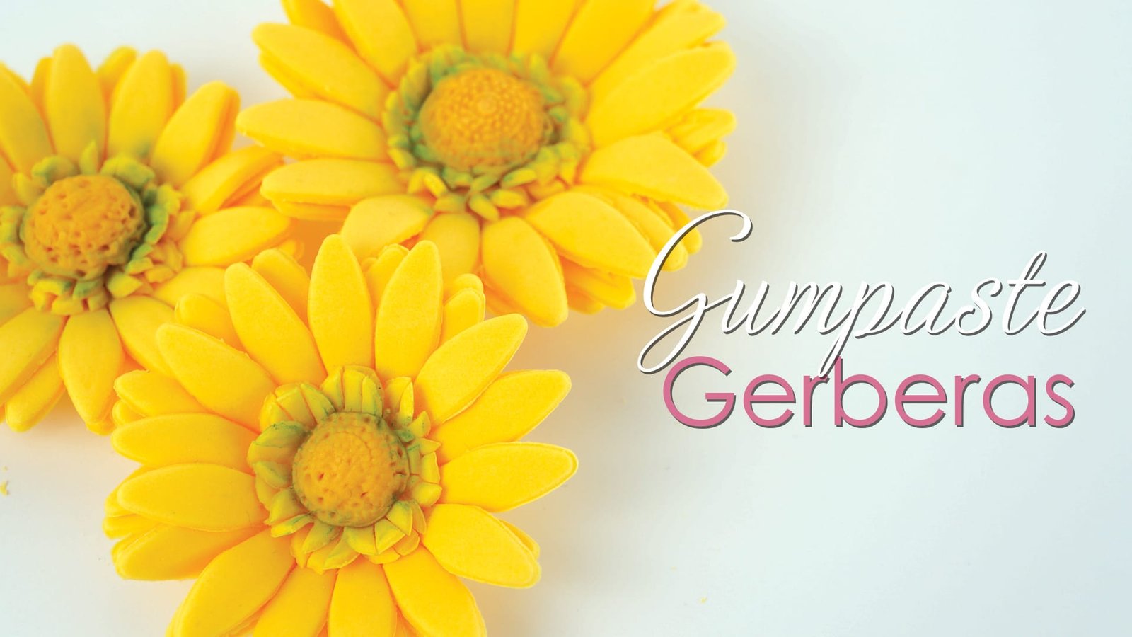 Gerbera Flower Video Tutorial