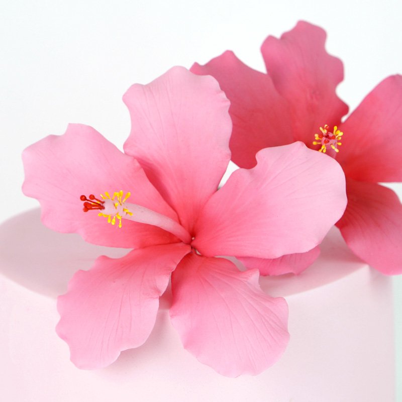 Gumpaste Hibiscus Flower Tutorial