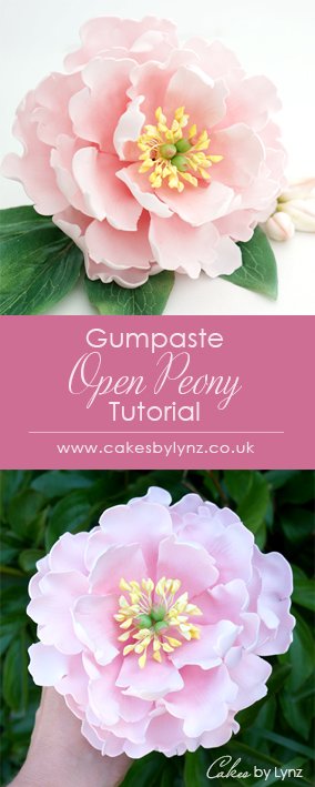 Open Peony tutorial