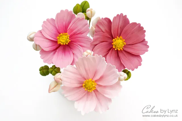 Cosmos Flower tutorial