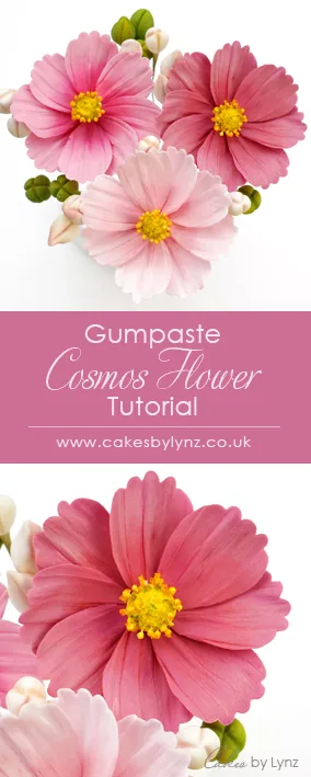 Cosmos flower tutorial