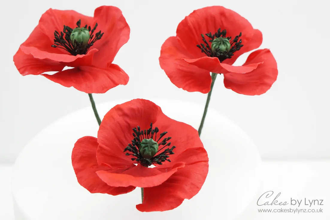 sugar flower poppies