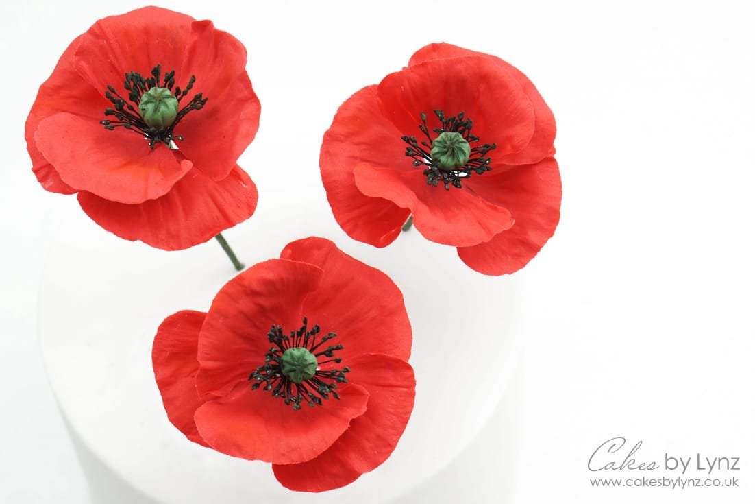 How to make Gumpaste Poppies Video Tutorial