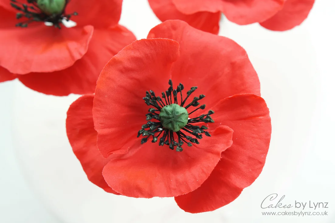 How to make gumpaste poppies