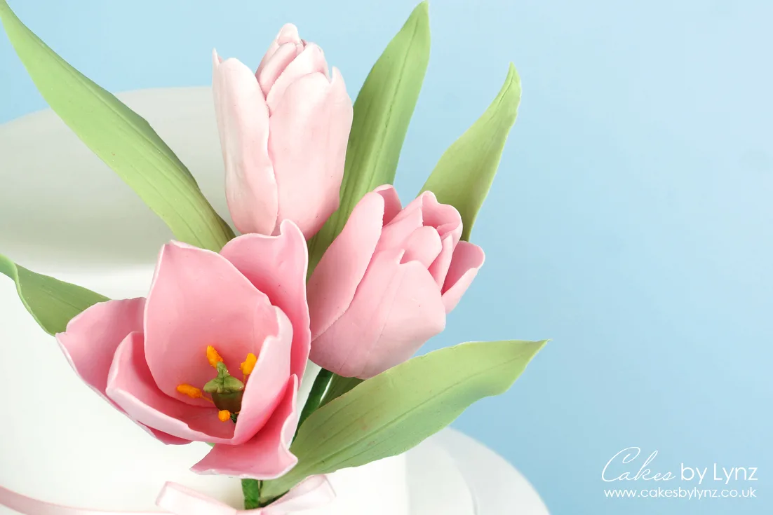 how to make a Gumpaste sugar tulip tutorial