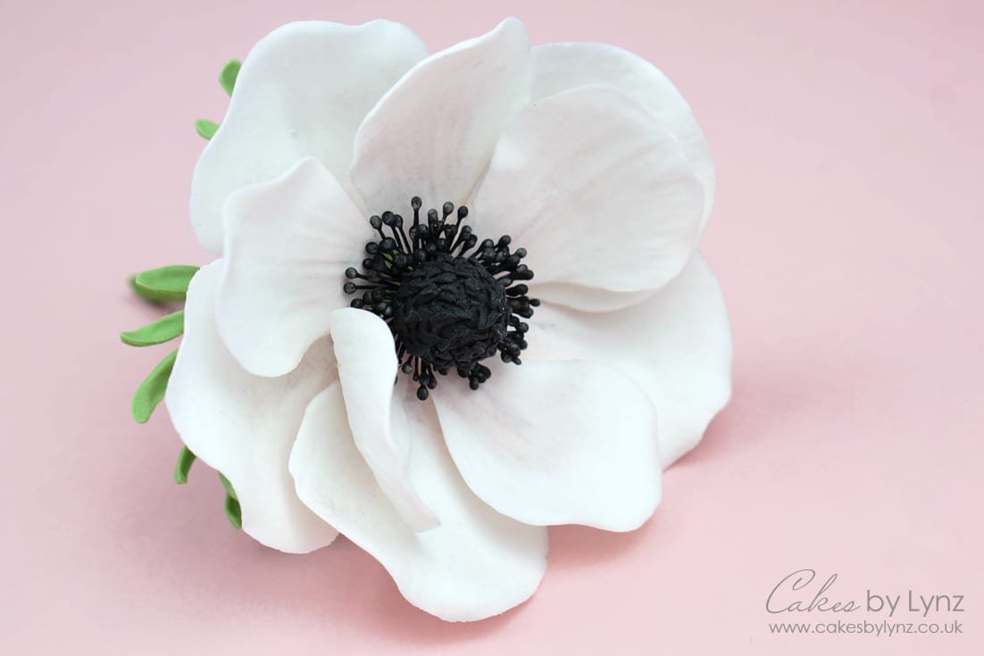 how to make a gumpaste anemone flower tutorial