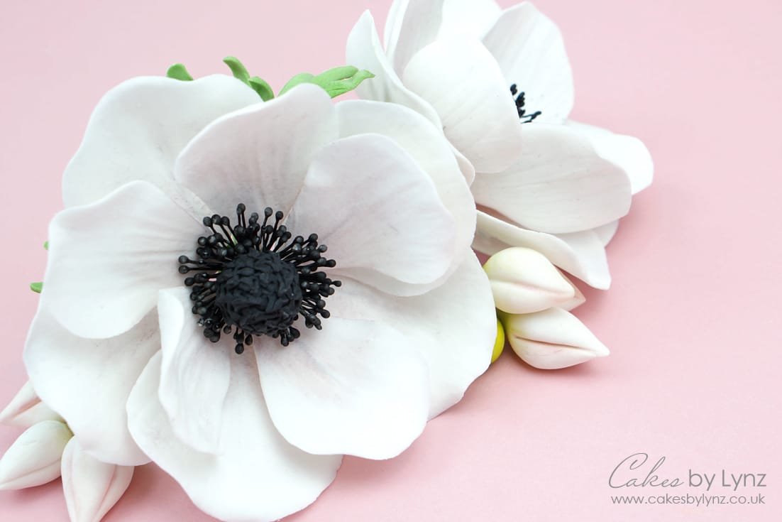 gumpaste anemone flower tutorial