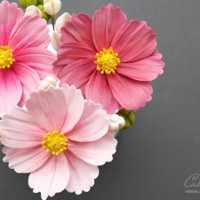 Cosmos Flower tutorial