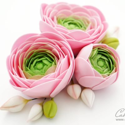 Gumpaste Ranunculus Flowers