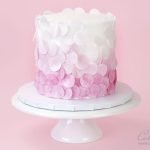 Wafer paper Confetti Cake texture